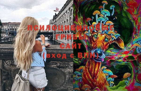 амф Абаза