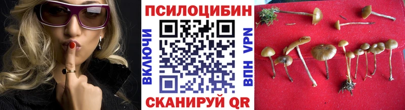 мориарти клад  Алдан  Галлюциногенные грибы MAGIC MUSHROOMS  продажа наркотиков 